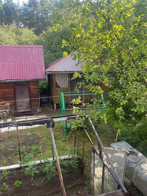 Продам дачу, Природа тер. СНТ, 119, Темряшино (Ситниковский с/с) д, 0 км от города