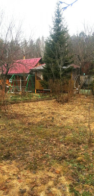 Продам дачу, Природа тер. СНТ, 119, Темряшино (Ситниковский с/с) д, 0 км от города