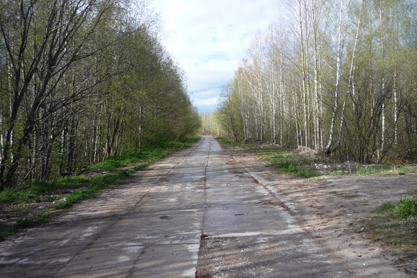Продам дом, Северная (имени Я.М.Свердлова тер. СНТ) ул, 37, Санкт-Петербург г, 0 км от города
