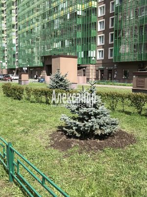 Продам однокомнатную (1-комн.) квартиру, Шувалова ул, 27/7, Мурино п