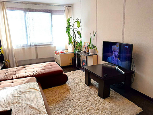 Продам однокомнатную (1-комн.) квартиру, Кустодиева ул, 20к1, Санкт-Петербург г