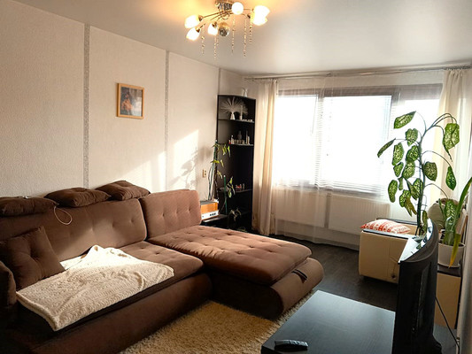 Продам однокомнатную (1-комн.) квартиру, Кустодиева ул, 20к1, Санкт-Петербург г