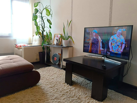 Продам однокомнатную (1-комн.) квартиру, Кустодиева ул, 20к1, Санкт-Петербург г