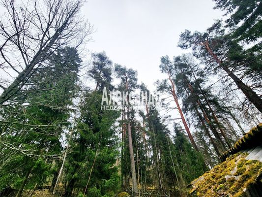 Продам участок 11 соток, ИЖС, Беличье п, 130 км от города
