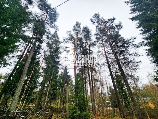 Продам участок 11 соток, ИЖС, Беличье п, 130 км от города