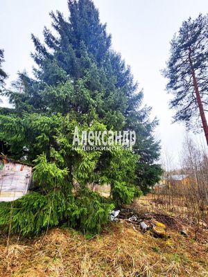 Продам участок 11 соток, ИЖС, Беличье п, 130 км от города