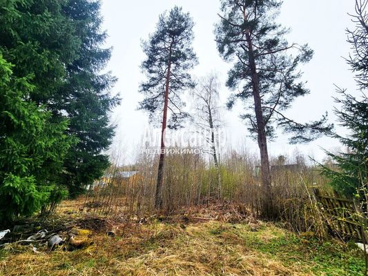 Продам участок 11 соток, ИЖС, Беличье п, 130 км от города