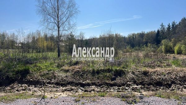Продам участок 11 соток, Садоводство, 4-й уч-к, Марс тер. СНТ, 23 км от города