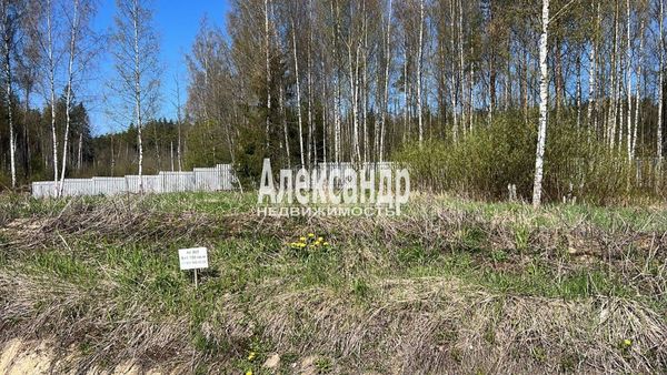 Продам участок 11 соток, Садоводство, 4-й уч-к, Марс тер. СНТ, 23 км от города