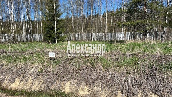 Продам участок 11 соток, Садоводство, 4-й уч-к, Марс тер. СНТ, 23 км от города