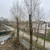 Продам однокомнатную (1-комн.) квартиру, Куйбышева (Сергиево тер) ул, 16А, Санкт-Петербург г