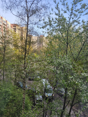 Продам двухкомнатную (2-комн.) квартиру, Моравский пер, 7к1, Санкт-Петербург г