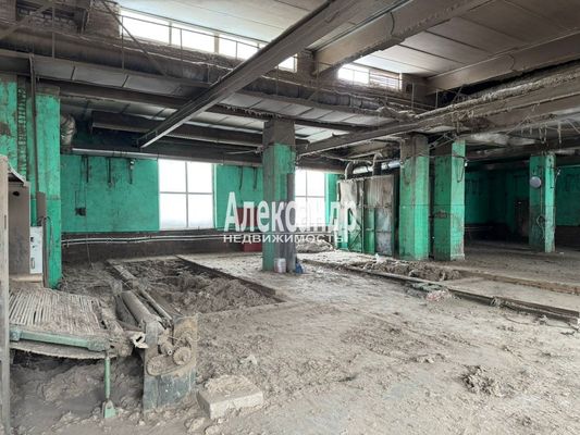 Сдам коммерческое помещение 630 м2, Антропшинская ул, 157Б, Коммунар г