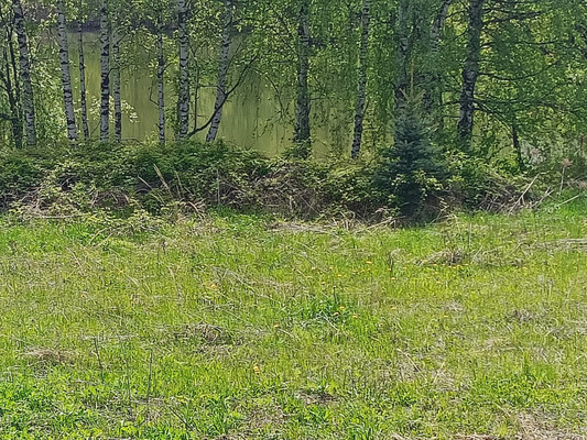 Продам коттедж, Тихий пер, 6А, Бурцево д, 0 км от города