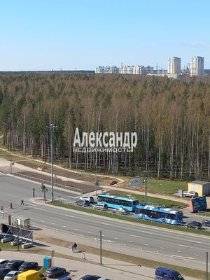 Продам однокомнатную (1-комн.) квартиру, Суздальское ш, 30к2, Санкт-Петербург г