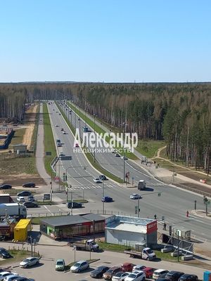 Продам однокомнатную (1-комн.) квартиру, Суздальское ш, 30к2, Санкт-Петербург г