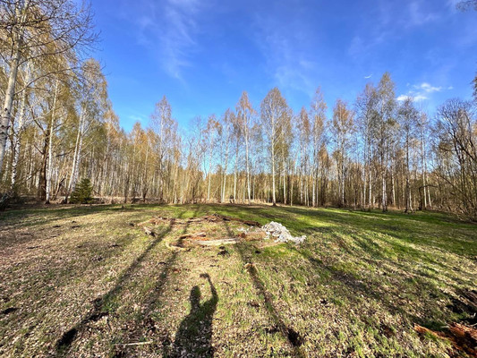 Продам участок 12 соток, Фермерское хоз., объединения Пион тер, Куминово п, 0 км от города