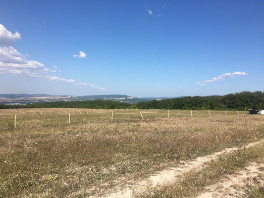 Продам землю для коммерческого использования 1,73 соток, Фермерское хоз., Красный Мак с