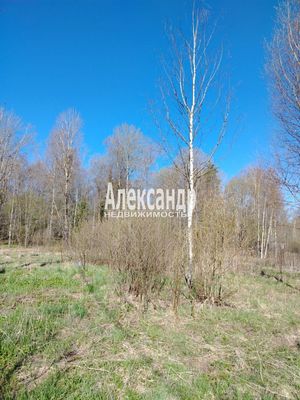 Продам участок 8,68 соток, Садоводство, поселок Забава, Центральная ул, Забава(п.Вещево) тер. СНТ, 15 км от города