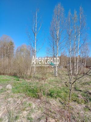 Продам участок 8,68 соток, Садоводство, поселок Забава, Центральная ул, Забава(п.Вещево) тер. СНТ, 15 км от города