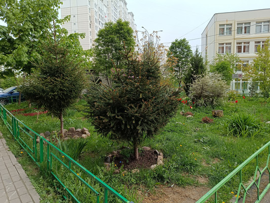 Продам двухкомнатную (2-комн.) квартиру, 43-й Армии ул, 19, Подольск г