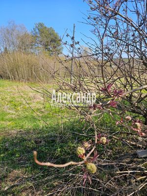 Продам участок 15 соток, ИЖС, Ихоярвенкюля п, 200 км от города