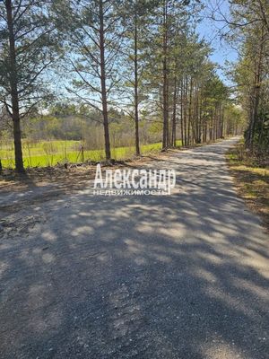 Продам участок 15 соток, ИЖС, Ихоярвенкюля п, 200 км от города