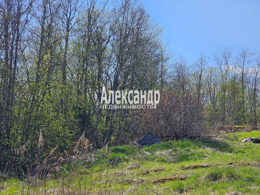 Продам участок 15 соток, ИЖС, Ихоярвенкюля п, 200 км от города