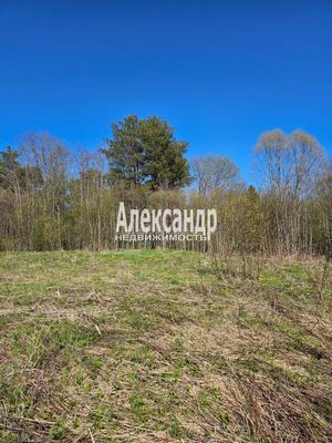 Продам участок 15 соток, ИЖС, Ихоярвенкюля п, 200 км от города