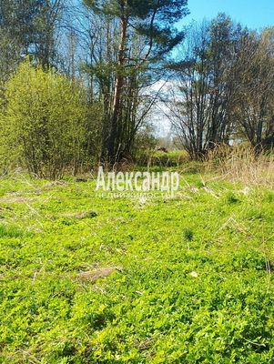 Продам участок 15 соток, ИЖС, Ихоярвенкюля п, 200 км от города