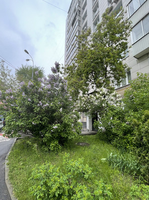 Продам однокомнатную (1-комн.) квартиру, Шмитовский проезд, 24, Москва г