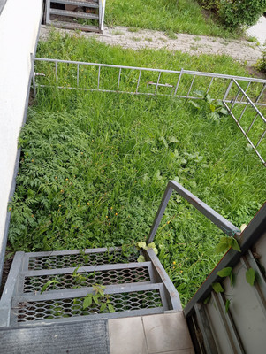 Продам однокомнатную (1-комн.) квартиру, Туровская ул, 7, Горки д