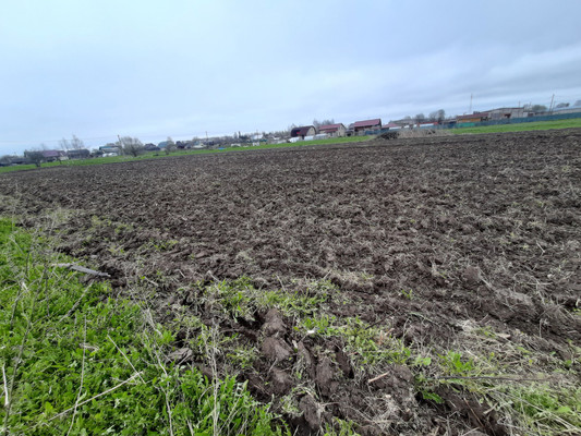 Продам участок 20,82 соток, ИЖС, Рабитицы п, 0 км от города
