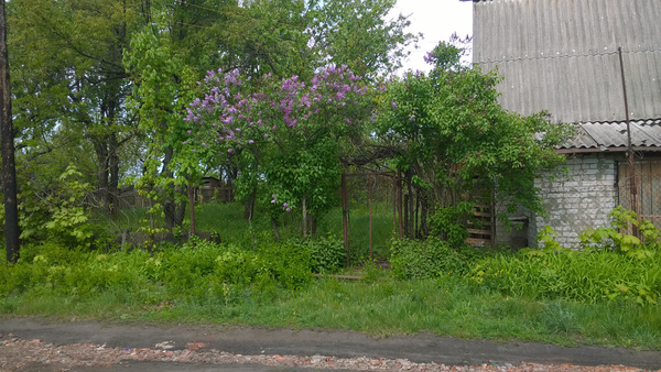 Продам дачу, Авиационная (Садовод тер. СНТ) ул, Воронеж г, 0 км от города