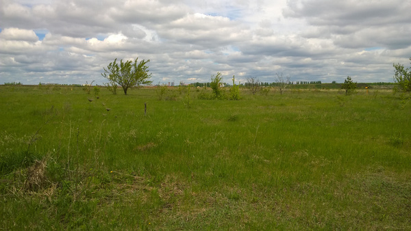 Продам дачу, Авиационная (Садовод тер. СНТ) ул, Воронеж г, 0 км от города