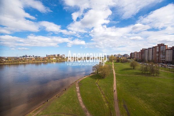 Продам однокомнатную (1-комн.) квартиру, Рыбацкий пр-кт, 18к2, Санкт-Петербург г
