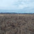 Продам участок 10 соток, ИЖС, Заворово с, 0 км от города