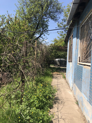 Продам дачу, Орион сад, 102, Большие Салы с, 0 км от города