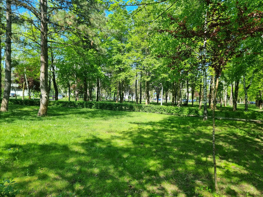 Продам двухкомнатную (2-комн.) квартиру, им. Туполева А.Н. ул, 4, Березовый п
