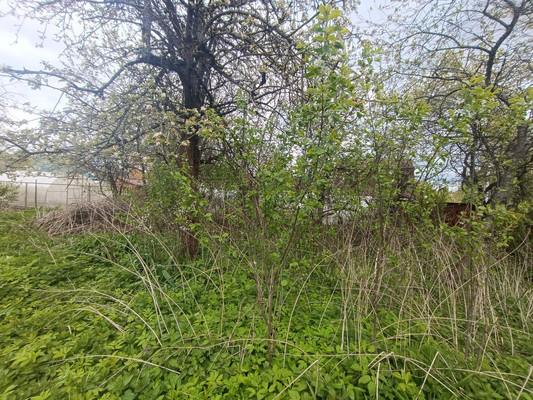 Продам дом, 53, ТСН Свитино тер, 0 км от города