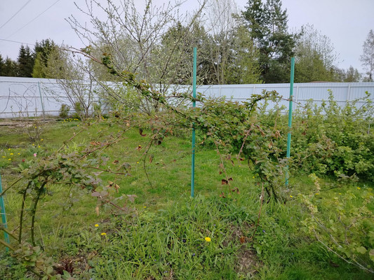 Продам дом, Октябрьская ул, 12, Песчаное д, 0 км от города