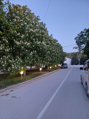 Продам участок 10 соток, ИЖС, Садовая ул, 28, Лекарственное с, 0 км от города