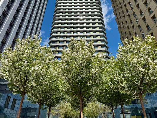 Продам двухкомнатную (2-комн.) квартиру, Дмитровский проезд, 1к1, Москва г