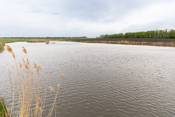 Продам землю для коммерческого использования 926 соток, Фермерское хоз., Верхняя Катуховка с