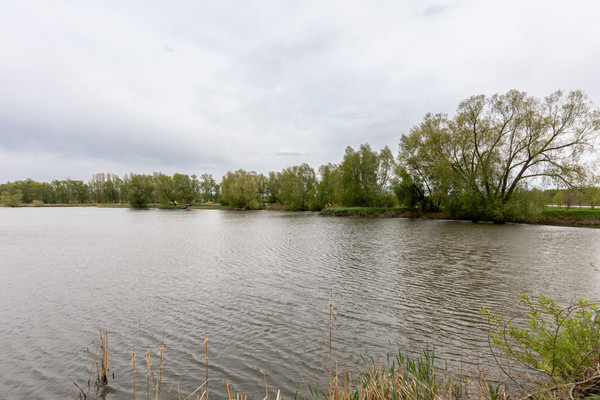 Продам землю для коммерческого использования 926 соток, Фермерское хоз., Верхняя Катуховка с