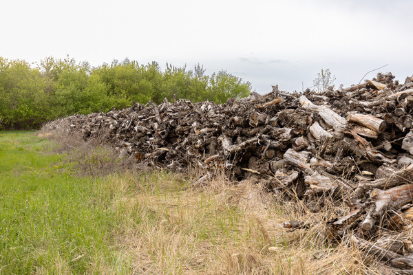 Продам землю для коммерческого использования 926 соток, Фермерское хоз., Верхняя Катуховка с