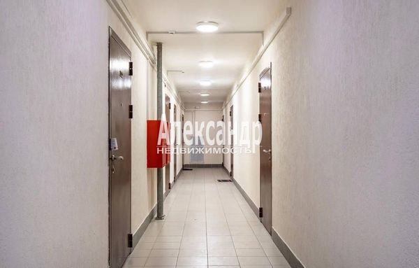 Продам однокомнатную (1-комн.) квартиру, Шувалова ул, 19к1, Мурино п