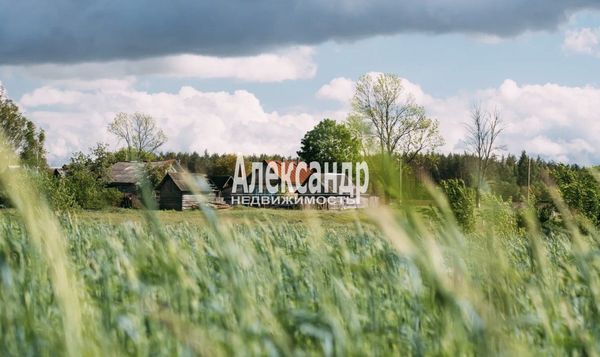 Продам участок 15 соток, ЛПХ, Летошицы д, 60 км от города