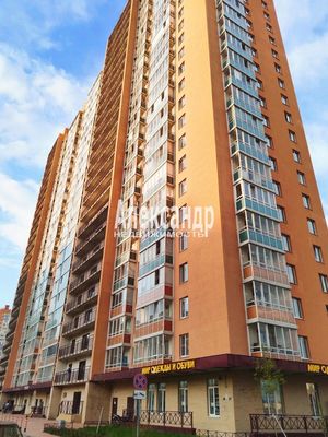 Продам однокомнатную (1-комн.) квартиру, Авиаторов Балтики пр-кт, 15, Мурино п