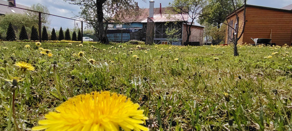 Продам дом, 21, Большое Толбино д, 0 км от города